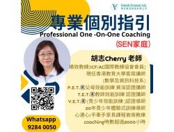 專業個別指引（SEN家庭）